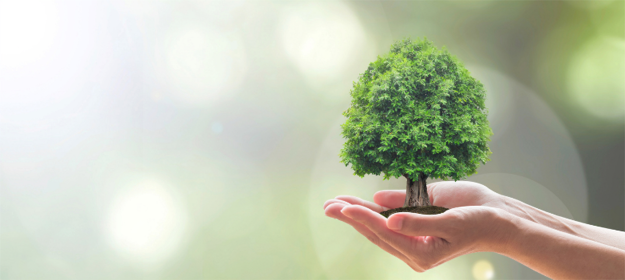 Image related to Why compliance needs to talk about sustainability
